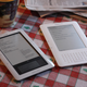 Illustration for article titled Barnes Noble Nook Review: Pretty Damn Good